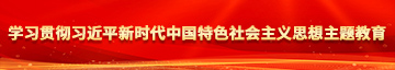 马操浪女人的逼学习贯彻习近平新时代中国特色社会主义思想主题教育